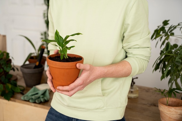 Persona che trapianta piante in nuovi vasi