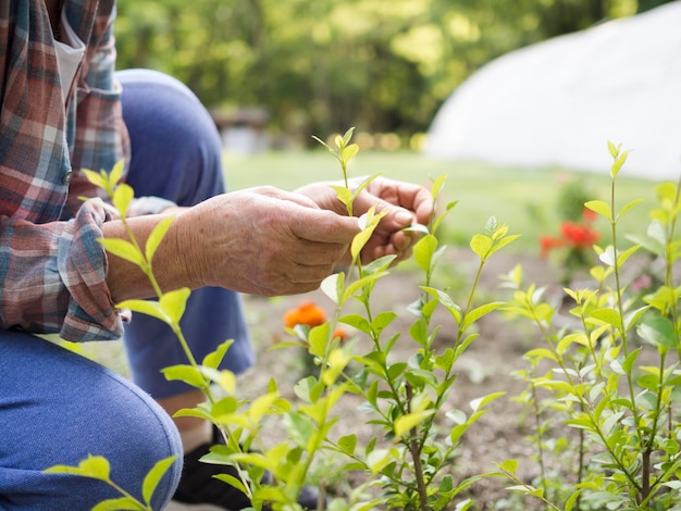 Persona di vista laterale che si prende cura del giardino