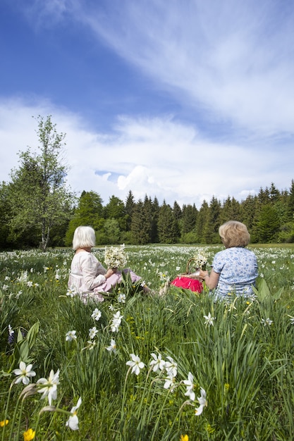 Persone che raccolgono fiori di narciso in primavera a Cauvery, France