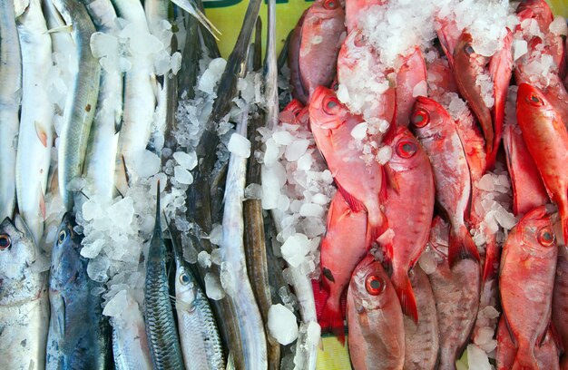 Pesce crudo sul banco del mercato