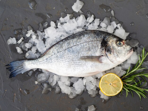 Pesce fresco di primo piano con limone e rosmarino