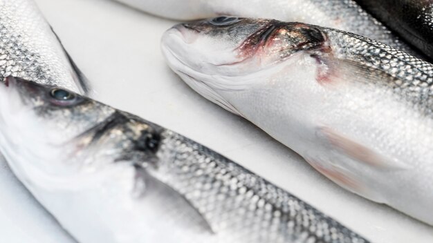 Pesce fresco sul tavolo bianco