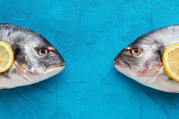 Pesce piatto laici su sfondo blu