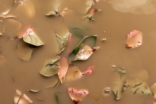 Petali e foglie rosa in acqua marrone