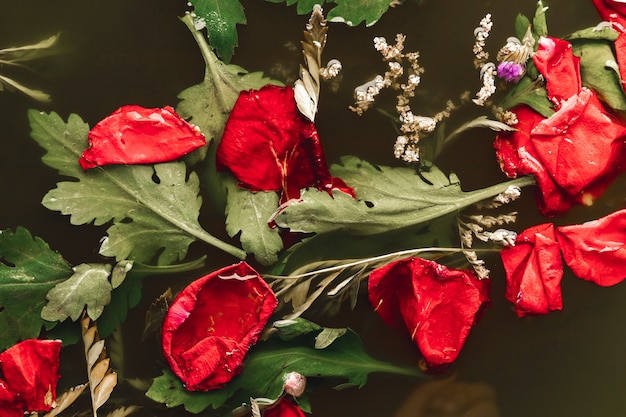 Petali rossi distesi in acqua nera