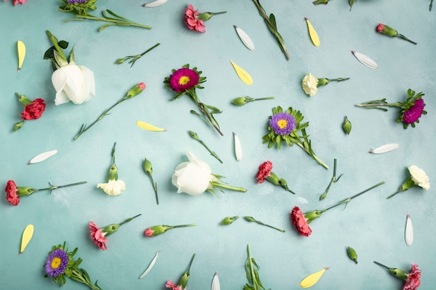 Petali vista dall'alto e fiori freschi su sfondo blu