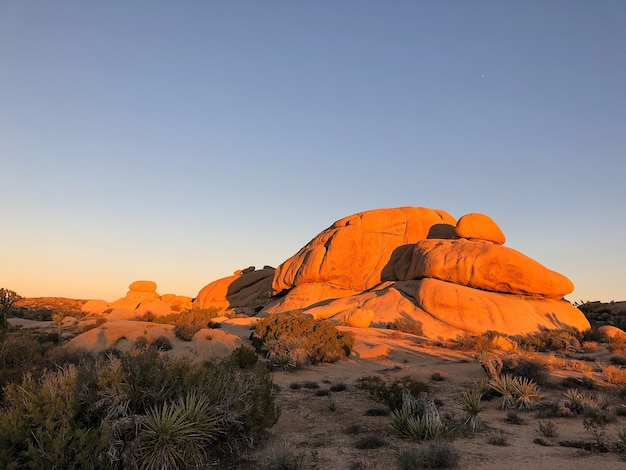 Pezzi di roccia nel Parco nazionale di Joshua Tree, USA