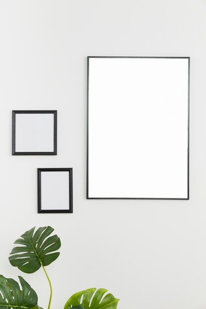 Pianta decorativa con cornici vuote