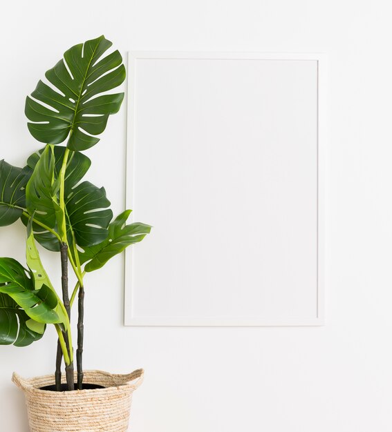 Pianta decorativa con telaio vuoto