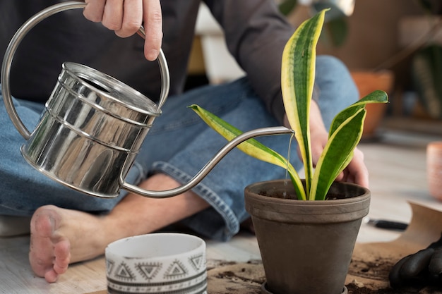 Pianta di irrigazione manuale vista frontale