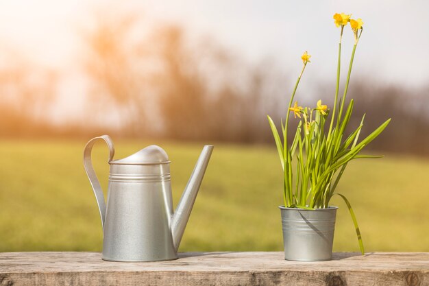 Pianta e giardino still life