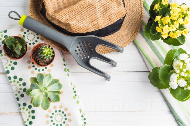 Pianta in vaso vivido con forchetta da giardinaggio, cappello sopra il tavolo