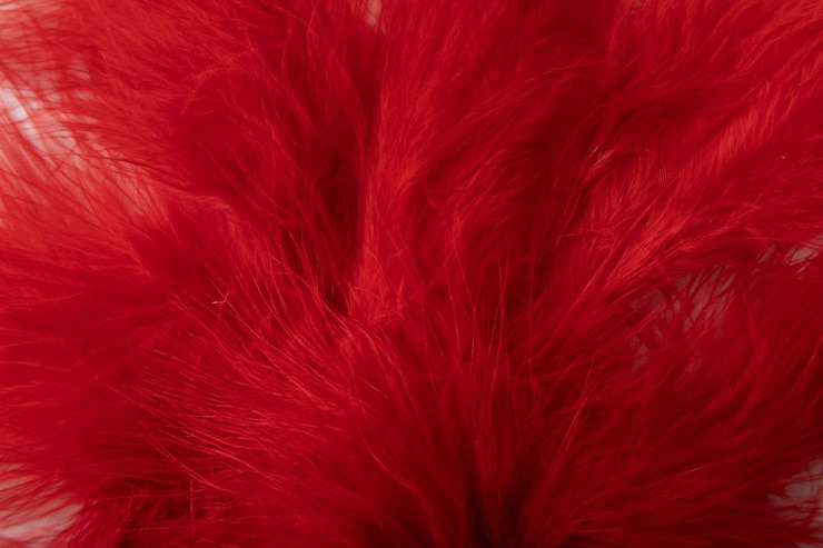 Foto gratuito pianta rossa fresca