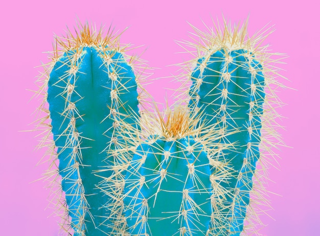 Pianta tropicale al neon del cactus d&#39;avanguardia sul rosa