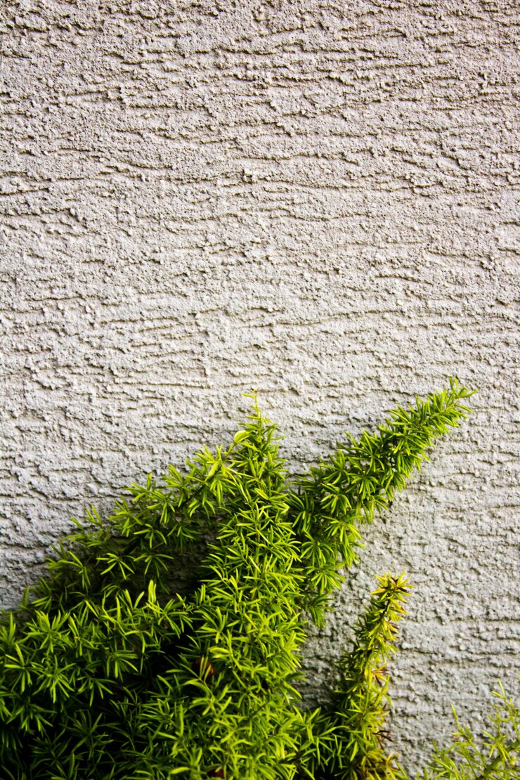 Pianta verde che cresce su un muro