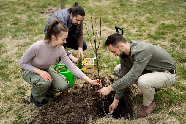 Piantare alberi come parte del processo di riforestazione