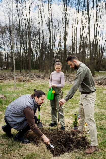 Piantare alberi come parte del processo di riforestazione