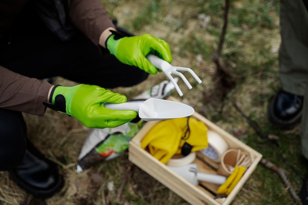 Piantare alberi come parte del processo di riforestazione