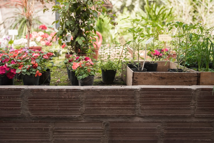 Foto gratuito piante di fiore conservate in vaso fresche che crescono nel giardino
