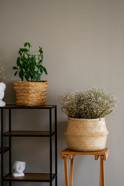 Piante in vaso come decorazione della stanza con mensola e sedia