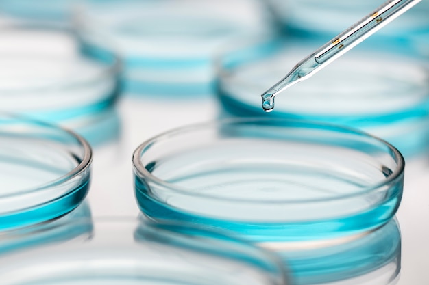 Piastre di Petri in laboratorio medico con gocciolare