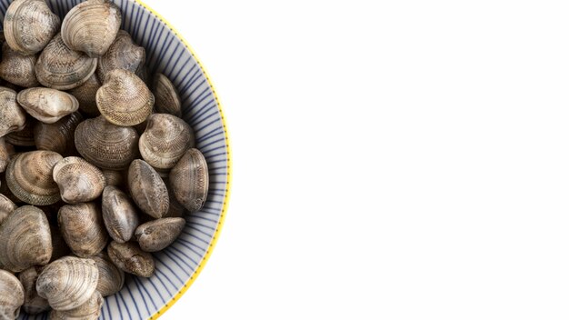 Piatto di laici con vongole e copia spazio