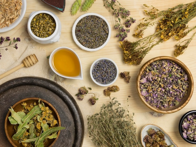 Piatto di laici medicinali naturali spezie ed erbe aromatiche