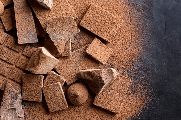 Piatto disteso di caramelle con cioccolato e cacao in polvere