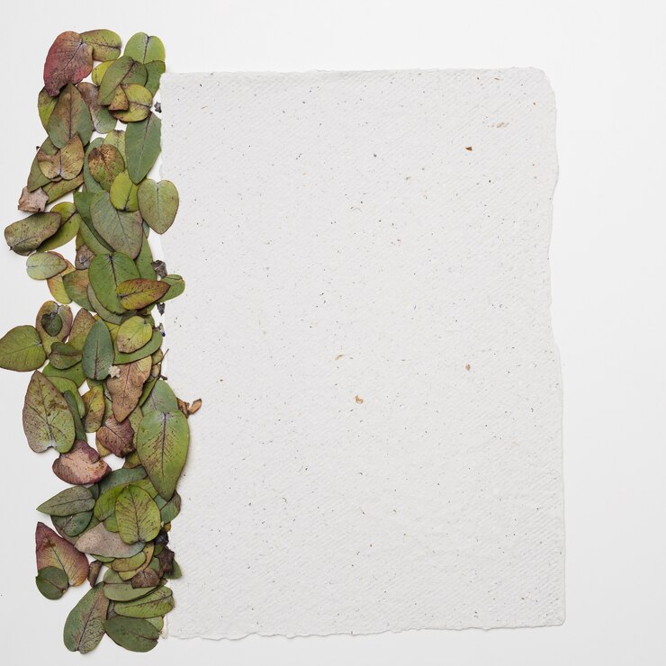 Foto gratuito piatto laici del modello di carta con il concetto di natura