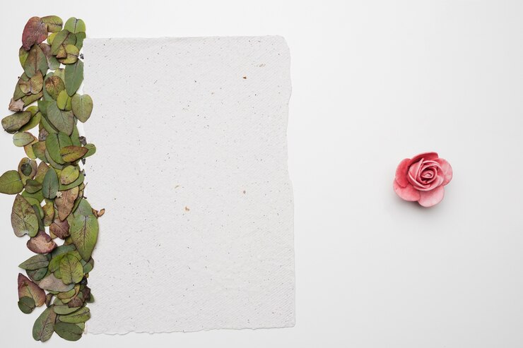 Foto gratuito piatto laici del modello di carta con il concetto di natura