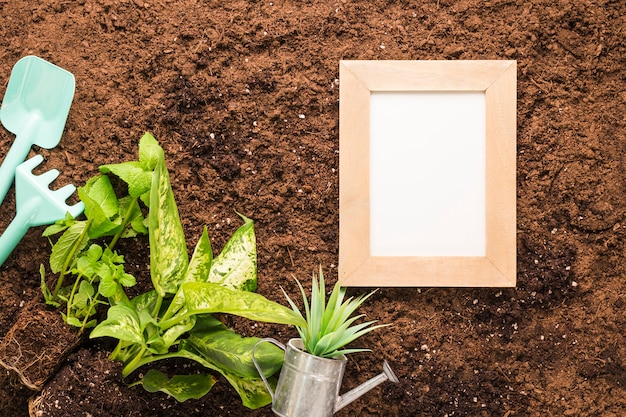 Piatto lay di telaio e attrezzi da giardinaggio con copyspace