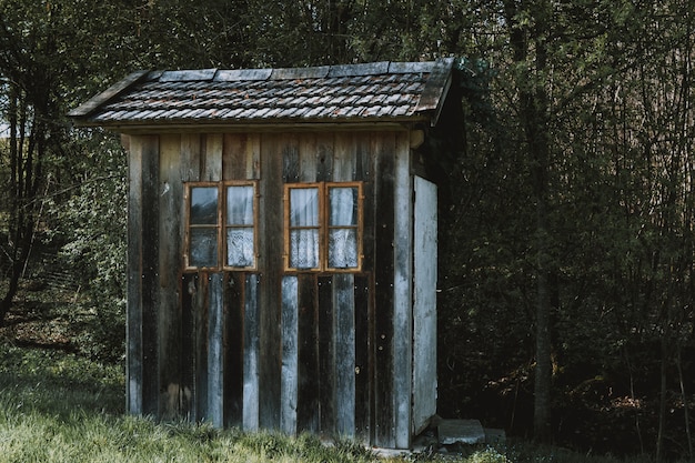 Piccola cabina in legno con finestre marroni con tende bianche in una foresta circondata da alberi