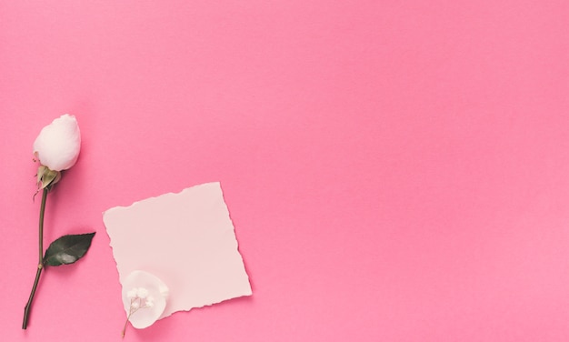 Piccola carta bianca con fiore bianco sul tavolo rosa