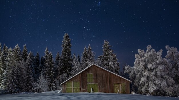 Piccola casa di legno nella pittoresca foresta invernale nel cielo notturno stellato