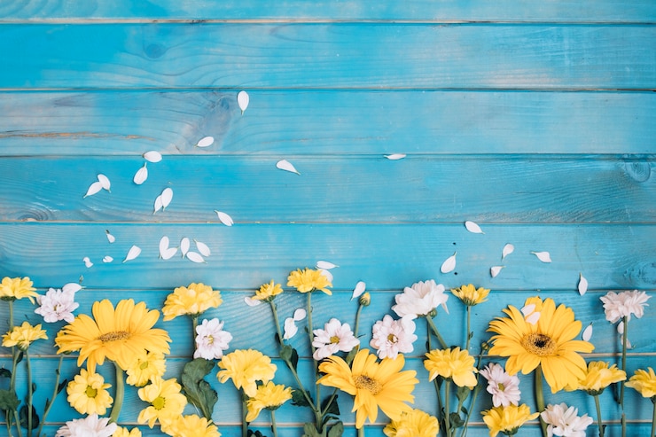 Foto gratuito piccoli fiori gialli e bianchi