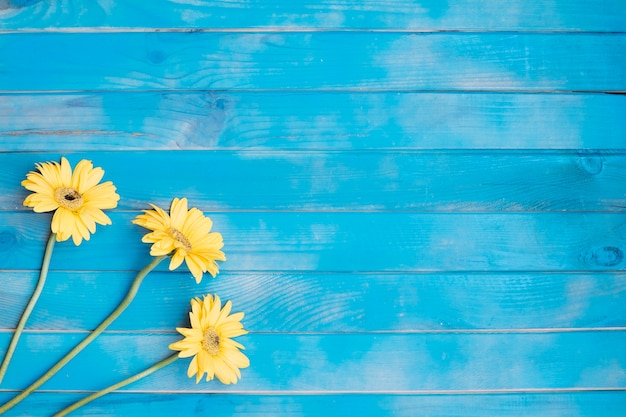 Piccoli fiori gialli sul tavolo di legno