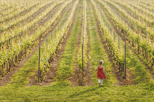 Piccolo bambino in abito rosso è in esecuzione in vigna