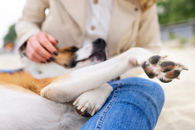 Piccolo cane sveglio del primo piano che gode del tempo fuori