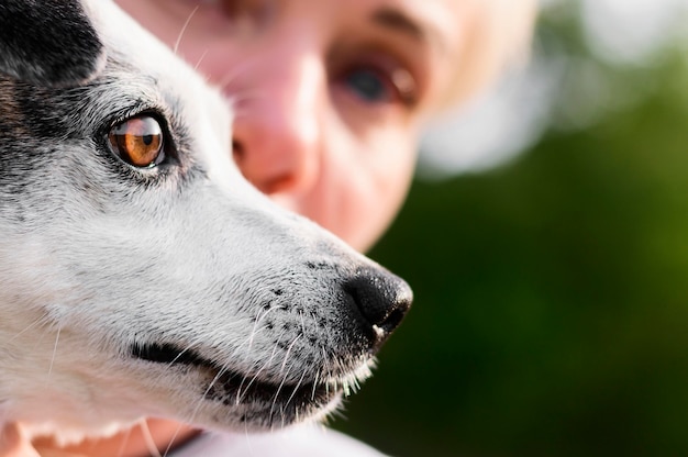 Piccolo cane sveglio del primo piano che gode del tempo fuori