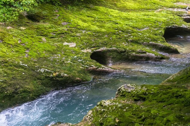 Piccolo fiume di montagna che scorre attraverso la foresta verde nel letto di pietra. Rapido flusso su roccia ricoperta di muschio