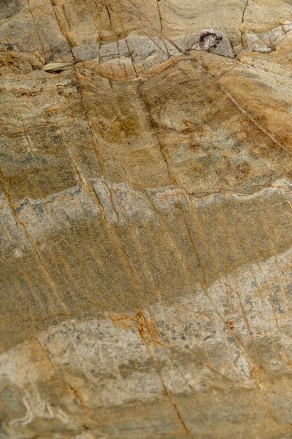 Pietra bagnata vicino al fiume