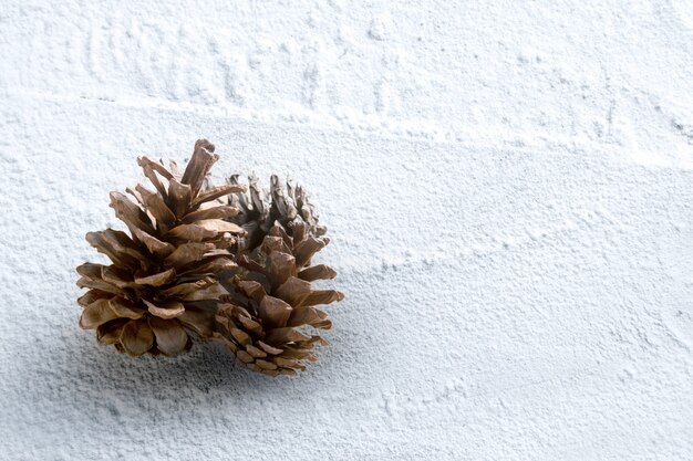 Pigna sulla neve. decorazione natalizia