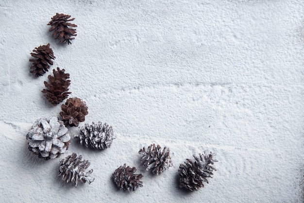 Pigna sulla neve. decorazione natalizia