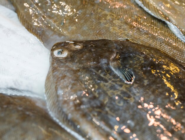 Pila di pesce fresco nel mercato alimentare
