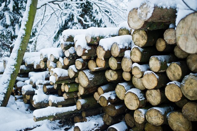 Pila di pezzi di legno ricoperti di neve Inverno