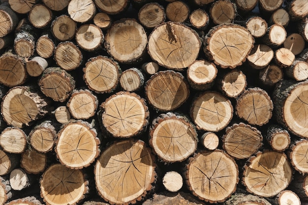 Pile di legname