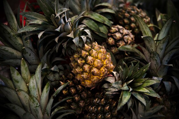 Pineapple Juicy Nutrition Ananas Aganas