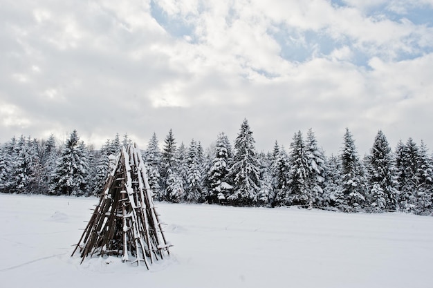 Pini coperti di neve Splendidi paesaggi invernali Natura gelata