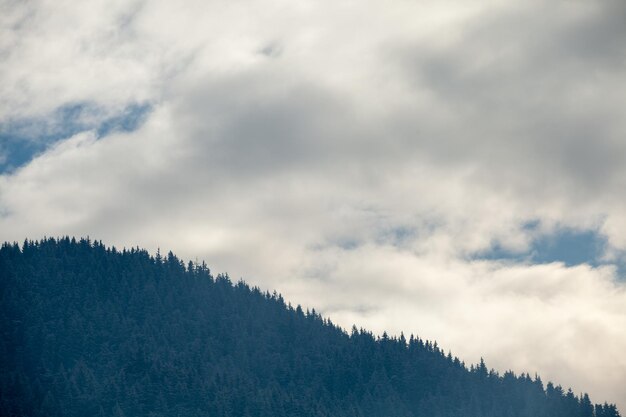 Pini sulle montagne in inverno con molte nuvole. Foto esterna