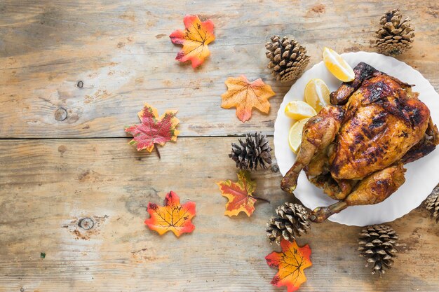 Pollo sul piatto tra ostacoli e fogliame